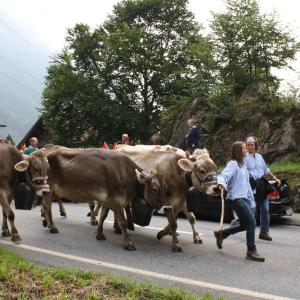 Pässetour 2009