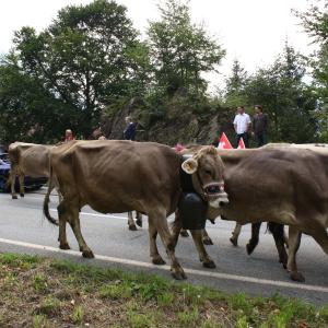 Pässetour 2009