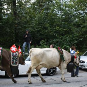 Pässetour 2009