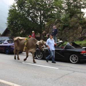 Pässetour 2009