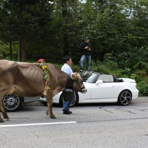Pässetour 2009