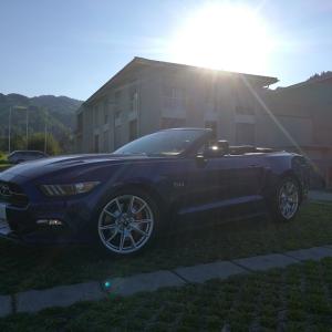 Fogg's S550